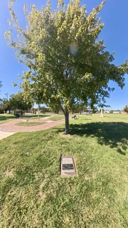 A tree and memorial marker on the grounds — photo 19