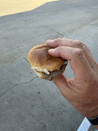 A closer look at a Cozy Inn burger — photo 24